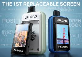 FRIEROSE CON PANTALLA INTERCAMBIABLE 25,000