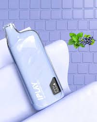 IPLAY BOX 15,000